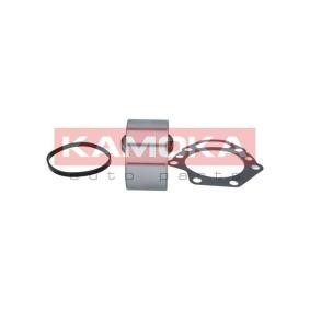 Radlagersatz 5600057 von KAMOKA günstig für 27,81 € online kaufen