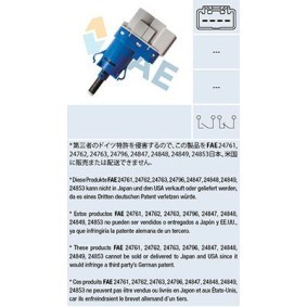 Druckwandler, Abgassteuerung 56028 von FAE günstig für 66,69 € online kaufen