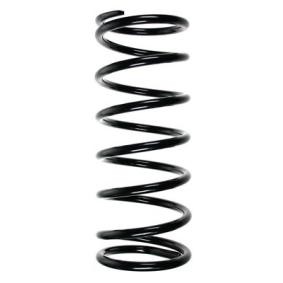 Fahrwerksfeder 56215 von SPIDAN günstig für 66,40 € online kaufen