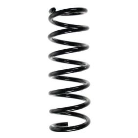 Fahrwerksfeder 56318 von SPIDAN günstig für 48,24 € online kaufen