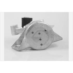 Compre Suporte, motor da HUTCHINSON 594505 a um preço baixo por 94,44 €