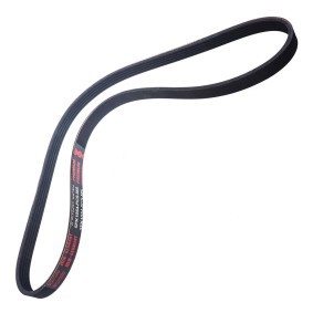 Keilrippenriemen 5PK1054-PCS-MS von MASTER-SPORT günstig für 7,72 € online kaufen