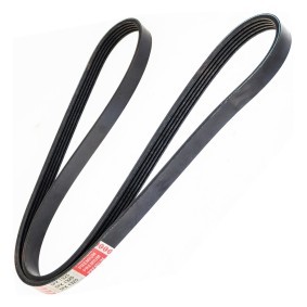 Keilrippenriemen 5PK1325-PCS-MS von MASTER-SPORT günstig für 11,53 € online kaufen