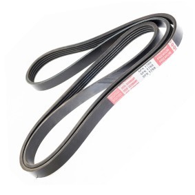 Keilrippenriemen 5PK1788-PCS-MS von MASTER-SPORT günstig für 14,57 € online kaufen
