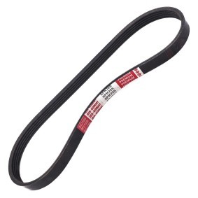 Keilrippenriemen 5PK720-PCS-MS von MASTER-SPORT günstig für 5,05 € online kaufen