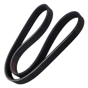 Keilrippenriemen 5PK775-PCS-MS von MASTER-SPORT günstig für 7,34 € online kaufen