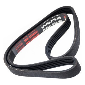 Keilrippenriemen 5PK962-PCS-MS von MASTER-SPORT günstig für 6,30 € online kaufen