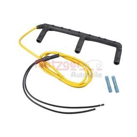 Osta Kaapelinkorjaussarja, hehkutuslaitt. METZGER:llä 2324110 edullisesti hintaan 42,14 €