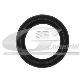3RG 70605 Supporto marmitta RENAULT Scénic 1 (JA0/1_, FA0_)