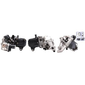 Compre Radiador EGR da ELSTOCK 73-0158 a um preço baixo por 393,16&nbsp;&euro;