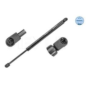 Heckklappendämpfer 740 910 0024 für Focus II Kombi (DA_, FFS, DS) für CHF 17.31