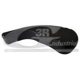 3RG 80699 Türgriff RENAULT Symbol