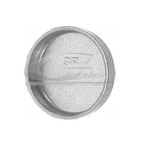 3RG 84012 Tampão de dilatação CITROËN