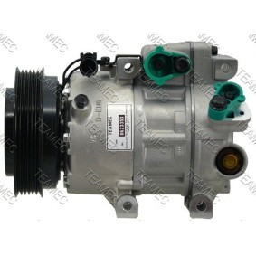 Acquista Compressore aria condizionata da TEAMEC 8623353 a buon mercato per soli 275,20&nbsp;&euro;