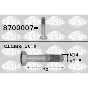 SASIC 8700007 Riemenscheibenschraube CITROËN Xantia Schrägheck (X1_, X2_)