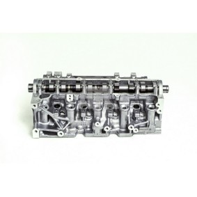 AMC 908895K Zylinderkopf RENAULT THALIA 2 (LU1/2) 1.5 64 PS Diesel