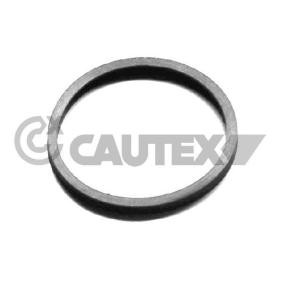 CAUTEX 954208 Kühlwasserabdichtung RENAULT MEGANE 2 Stufenheck (LM0/1) 2.0 135 PS Otto