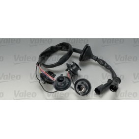 NISSAN Seitenblinkleuchte VALEO 065202