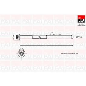 FAI AutoParts B1060 Bulloni testata SKODA Fabia 2 (545) 1.4 70 CV Diesel