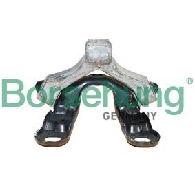 Borsehung B12279 Supporto marmitta SKODA YETI (5L) 1.6 105 CV Diesel