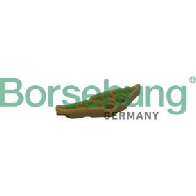 Borsehung B1G011 Carril de deslizamiento VW AMAROK
