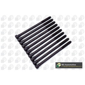 BGA BK2362 Vis de culasse MITSUBISHI COLT 6 (Z3A, Z2A) 1.3 91 CV Essence