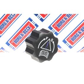 BORG & BECK BRC94 Ausgleichsbehälter CITROËN C3 I Schrägheck (FC_, FN_) 1.4 68 PS Diesel