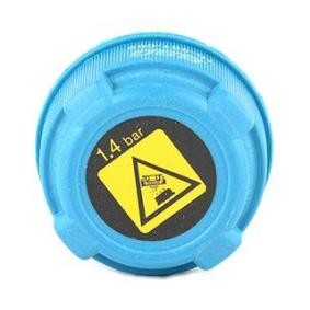 BSG BSG 70-551-005 Ausgleichsbehälter FIAT GRANDE PUNTO (199) 1.3 69 PS Diesel