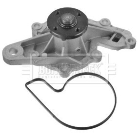 BORG & BECK BWP1943 Innløpsventil SMART CITY-COUPE (450) 0.6 45 hk Bensinmotor