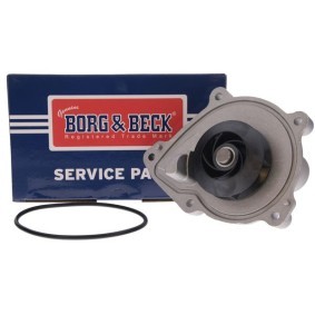 BORG & BECK BWP2195 Válvula de admisión MINI Paceman (R61) 1.6 116 cv Motor otto