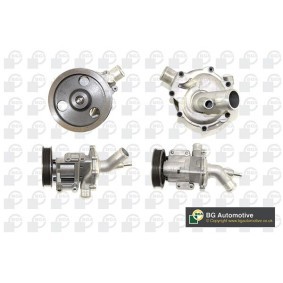 BGA CP3474 Válvula de admissão MINI Hatchback (R50, R53) 1.6 90 cv Otto