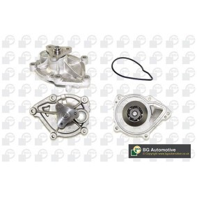 BGA CP7314T Válvula de admisión MINI Paceman (R61) 1.6 116 cv Motor otto