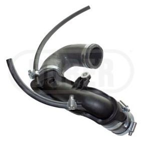 DURER DT60644 Tubo aspirazione filtro aria RENAULT LOGAN