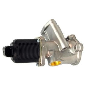 Osta Venttiili, pakokaasun kierrätys LIZARTE:llä EGR010 edullisesti hintaan 138,51&nbsp;&euro;