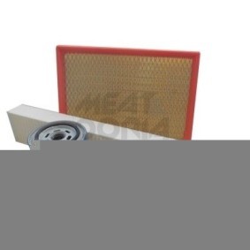 MEAT & DORIA FKJEE013 Kit de filtres FORD Focus Mk1 Berline (DNW) 2.0 131 CV Essence
