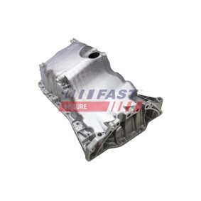 Stoßdämpfer des Herstellers FAST - Originalware Artikelnummer: FT11002