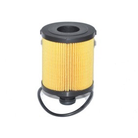 Ölfilter FT38068 für FIAT
