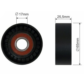 FAST FT44540 Polea tensora, correa poli V FIAT STILO