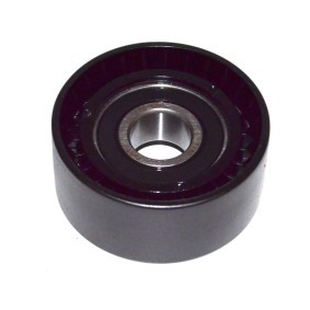 FAST FT44600 Spannrolle CITROËN C3 I Schrägheck (FC_, FN_)