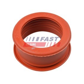 FAST FT61773 Ladeluftschlauch CITROËN C3 I Schrägheck (FC_, FN_)