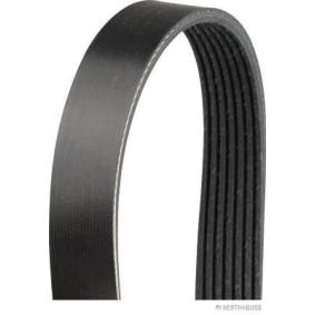 HERTH+BUSS JAKOPARTS J1071705 Correa de alternador HYUNDAI H350 Autobús 2.5 150 cv Gasoleo