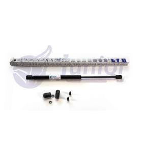 JUNIOR GAS SPRING JB250450 Maletero MERCEDES-BENZ SLR