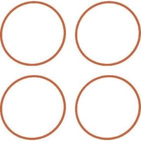 GLASER M59582-00 Junta de colector de admisión MINI Paceman (R61) 1.6 116 cv Motor otto