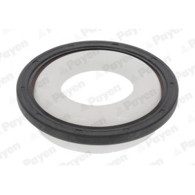 PAYEN NA5362 Vevaxeltätning PEUGEOT 207 SW (WK_) 1.6 110 hk Bensinmotor