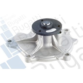 BUGATTI PA10181 Válvula de admisión HYUNDAI ix35 Furgón 2.0 136 cv Gasoleo