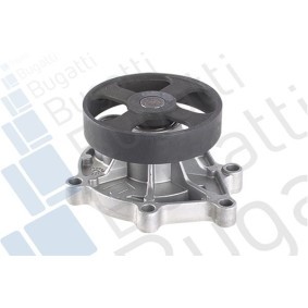 BUGATTI PA10189 Válvula de admissão MINI Cabrio (R57) 1.6 112 cv Diesel