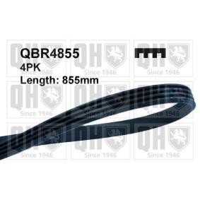 Compre Correia trapezoidal estriada da QUINTON HAZELL QBR4855 a um preço baixo por 11,40&nbsp;&euro;