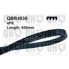 QUINTON HAZELL QBR4930 Correia do alternador KIA RETONA