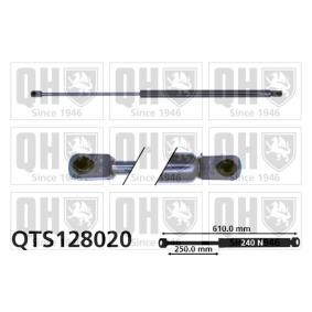 Køb Bagklapsdæmper af QUINTON HAZELL QTS128020 til den lave pris 246,50&nbsp;kr.