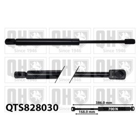 QUINTON HAZELL QTS828030 Coffre à bagages CHEVROLET REZZO